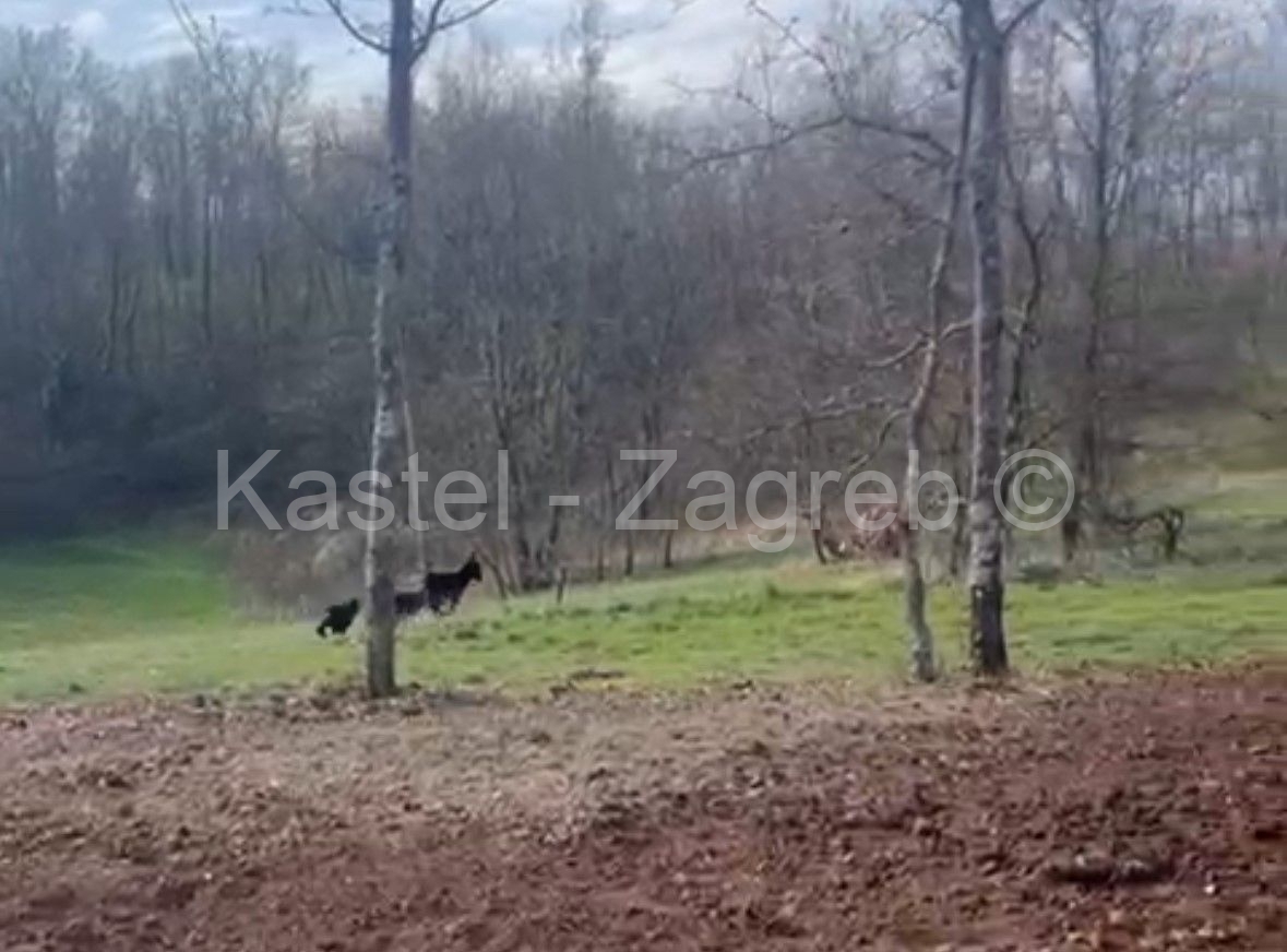 Terreno In vendita - Istarska Pazin - foto 2/4