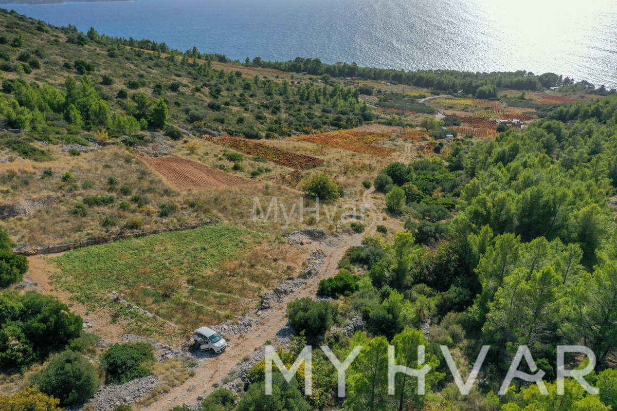 Land For sale - Splitsko-dalmatinska Jelsa - foto 3/7