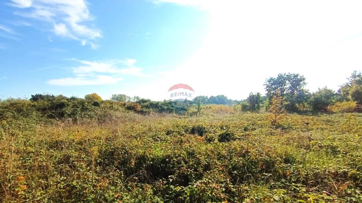 Land For sale - Istarska Novigrad - foto 2/5