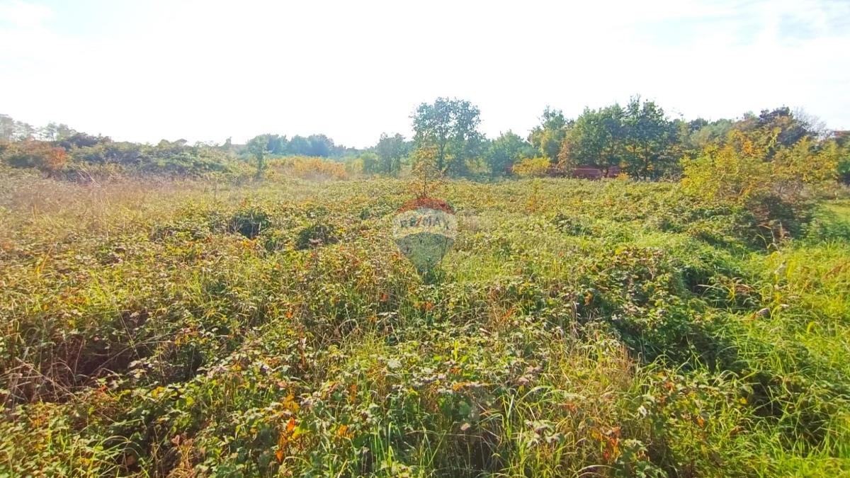 Land For sale - Istarska Novigrad - foto 5/5