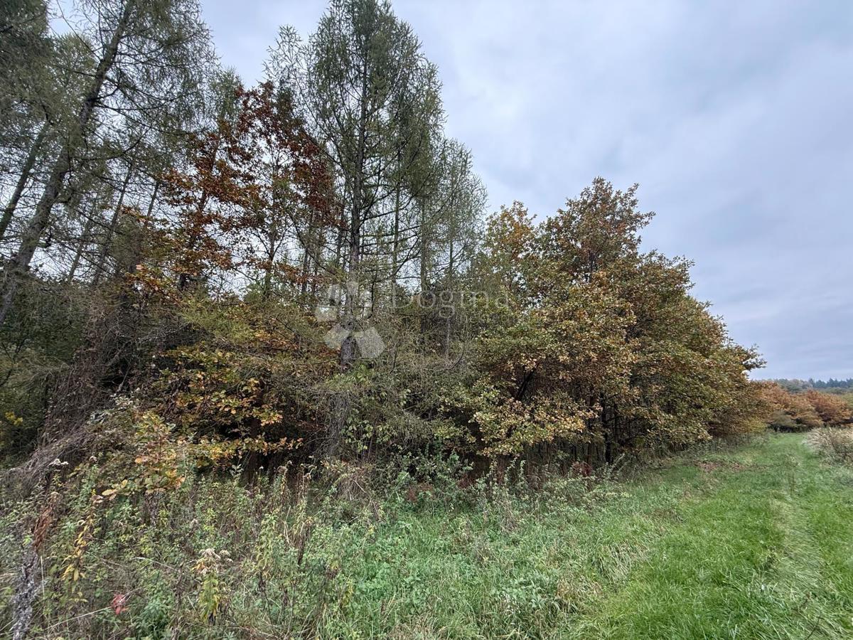Parcela Na predaj - Varaždinska Maruševec - foto 1/2