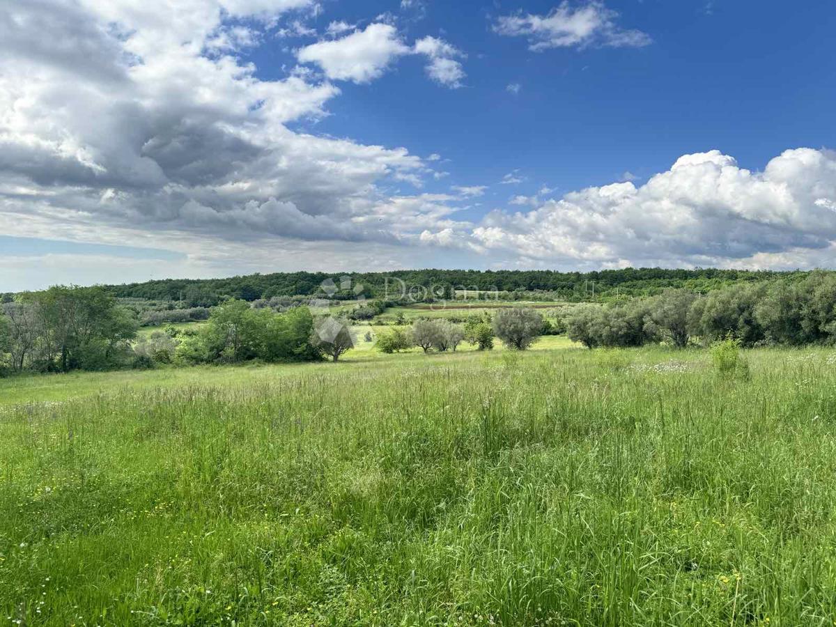 Parcela Na predaj - Istarska Kanfanar - foto 2/4