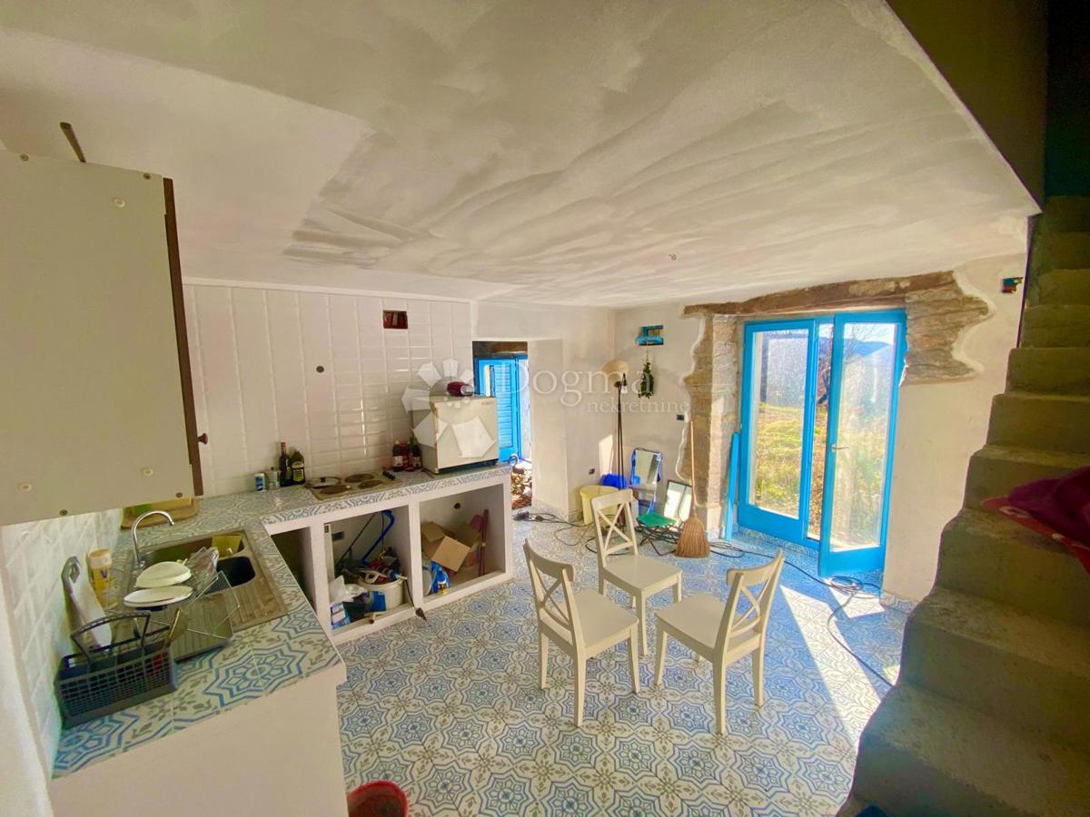 House For sale - ISTARSKA CEROVLJE