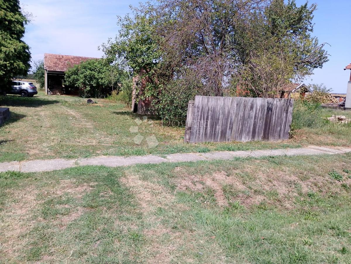 Maison À vendre - Osječko-baranjska Koška - foto 3/7
