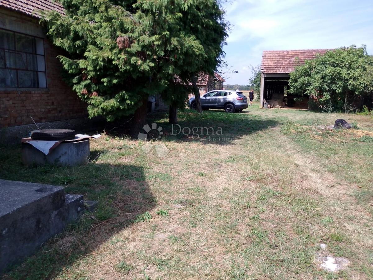 Maison À vendre - Osječko-baranjska Koška - foto 4/7
