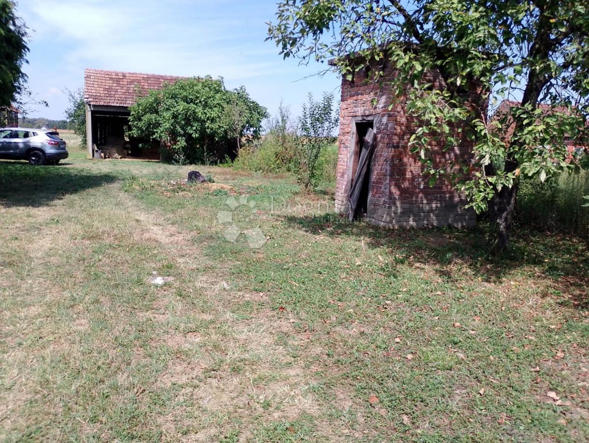 Maison À vendre - Osječko-baranjska Koška - foto 5/7