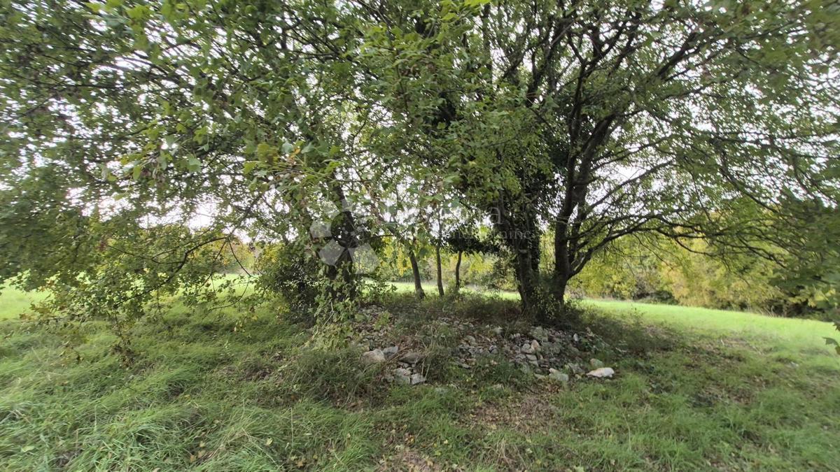 Zemljište Na prodaju - ISTARSKA LIŽNJAN