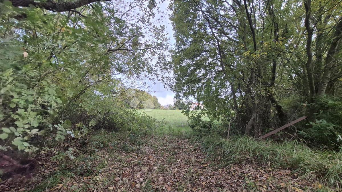 Zemljište Na prodaju - ISTARSKA LIŽNJAN