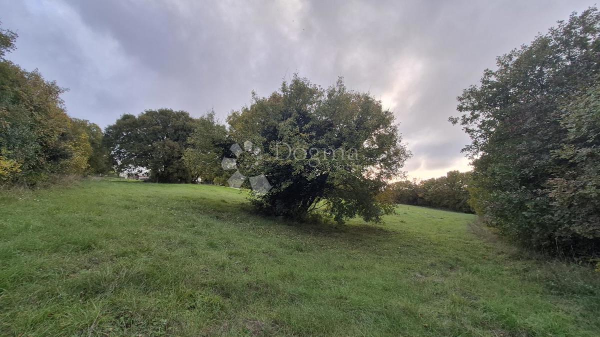 Zemljište Na prodaju - ISTARSKA LIŽNJAN