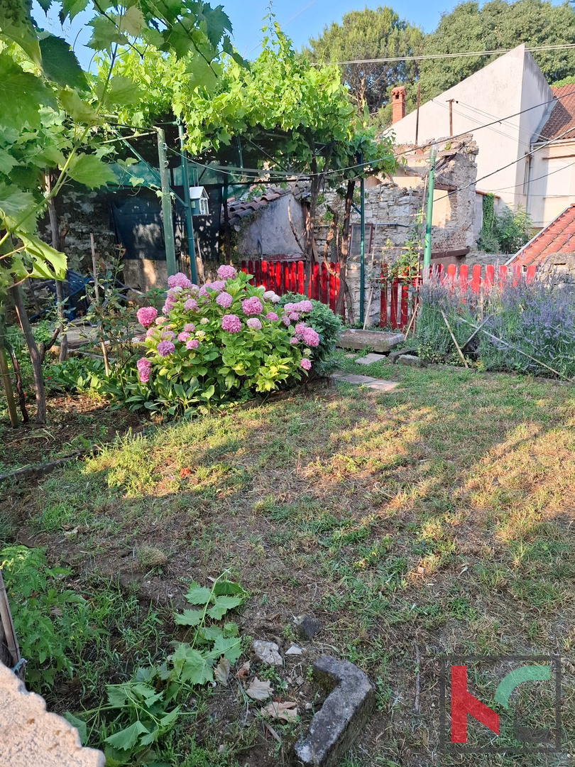 Apartment Zu verkaufen - ISTARSKA PULA