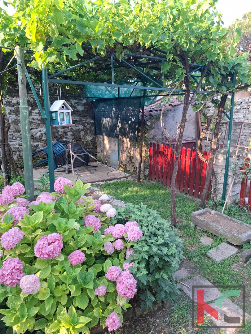 Apartment Zu verkaufen - ISTARSKA PULA