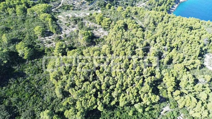 Parcela Naprodaj - Dubrovačko-neretvanska Korčula - foto 3/14