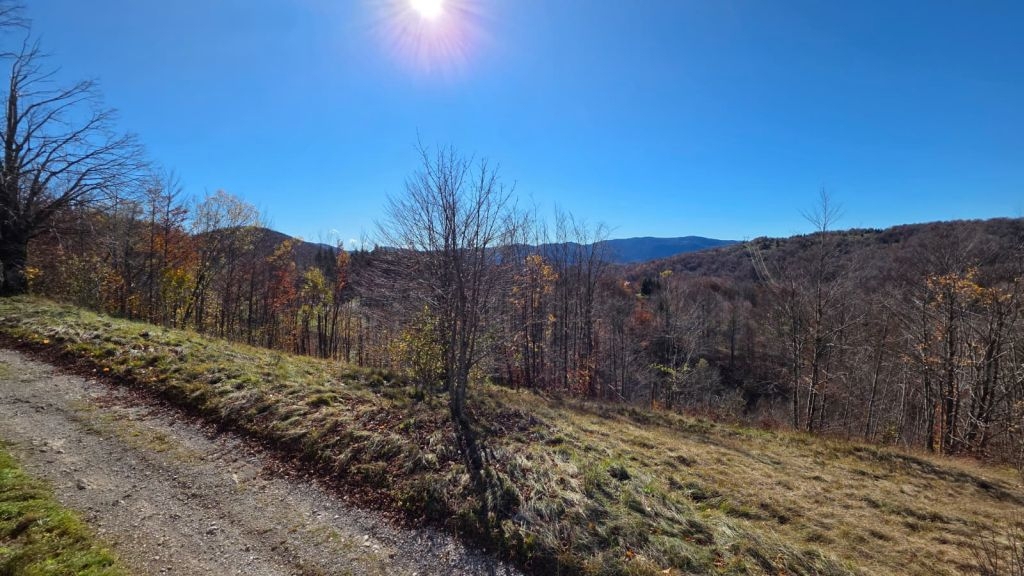 Działka Na sprzedaż - Primorsko-goranska Ravna Gora - foto 4/4