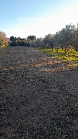 Grundstück Zu verkaufen - Istarska Medulin - foto 2/3