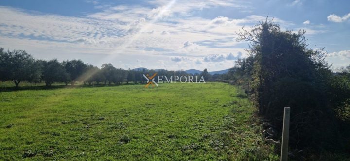 Parcela na predaj 1000 m² – Galovac