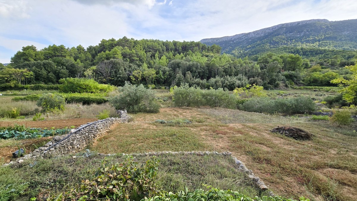 Kuća Na prodaju - SPLITSKO-DALMATINSKA HVAR