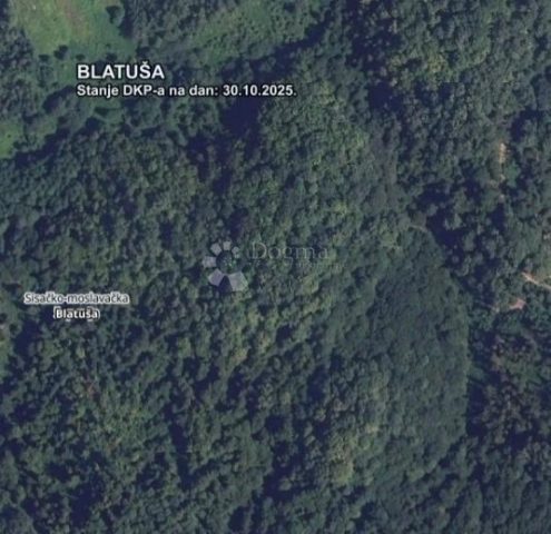Terreno In vendita - Sisačko-moslavačka Gvozd - foto 3/3