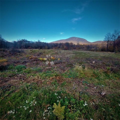 Land For sale DONJI LAPAC