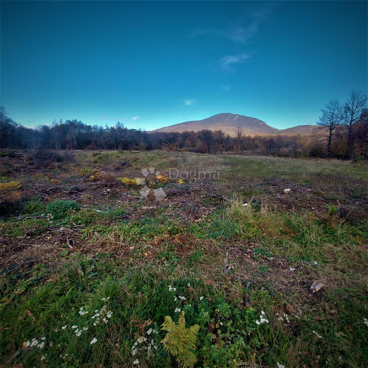 Land For sale - Ličko-senjska Donji Lapac - foto 1/3