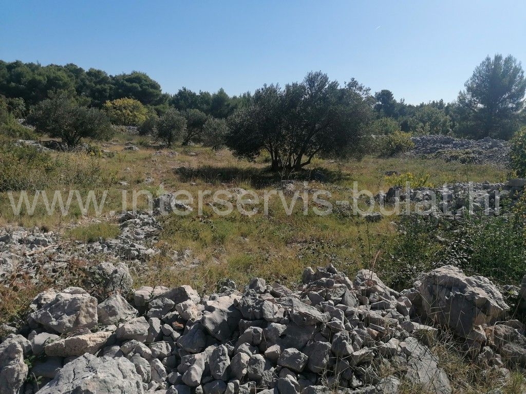 Land For sale TRIBUNJ