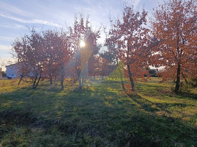 Pozemek Na prodej - Istarska Poreč - foto 4/4