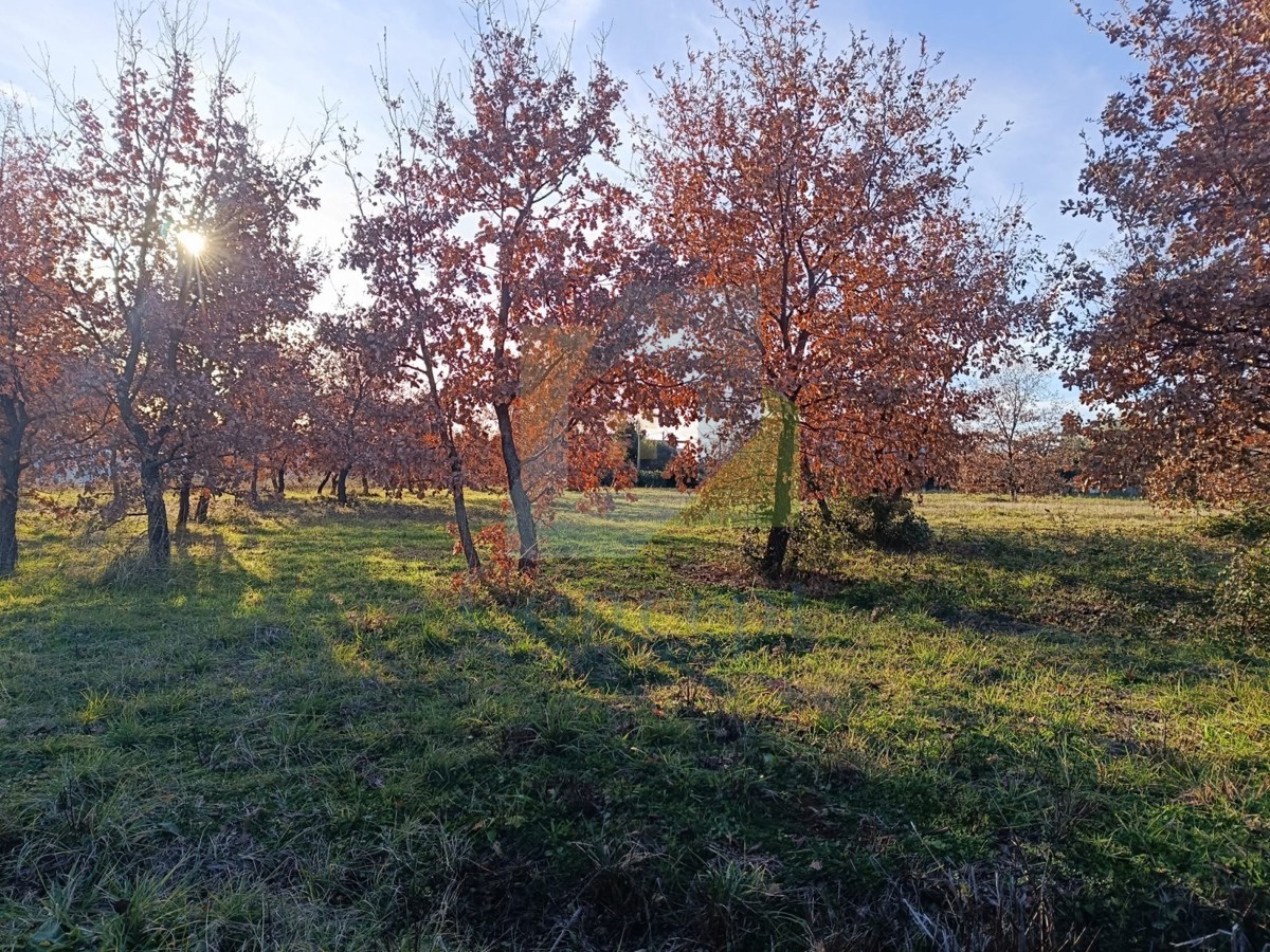 Pozemek Na prodej - Istarska Poreč - foto 1/4