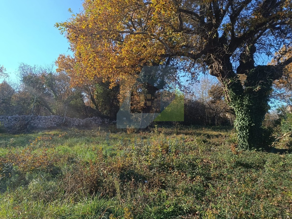 Pozemek Na prodej - Istarska Poreč - foto 5/7