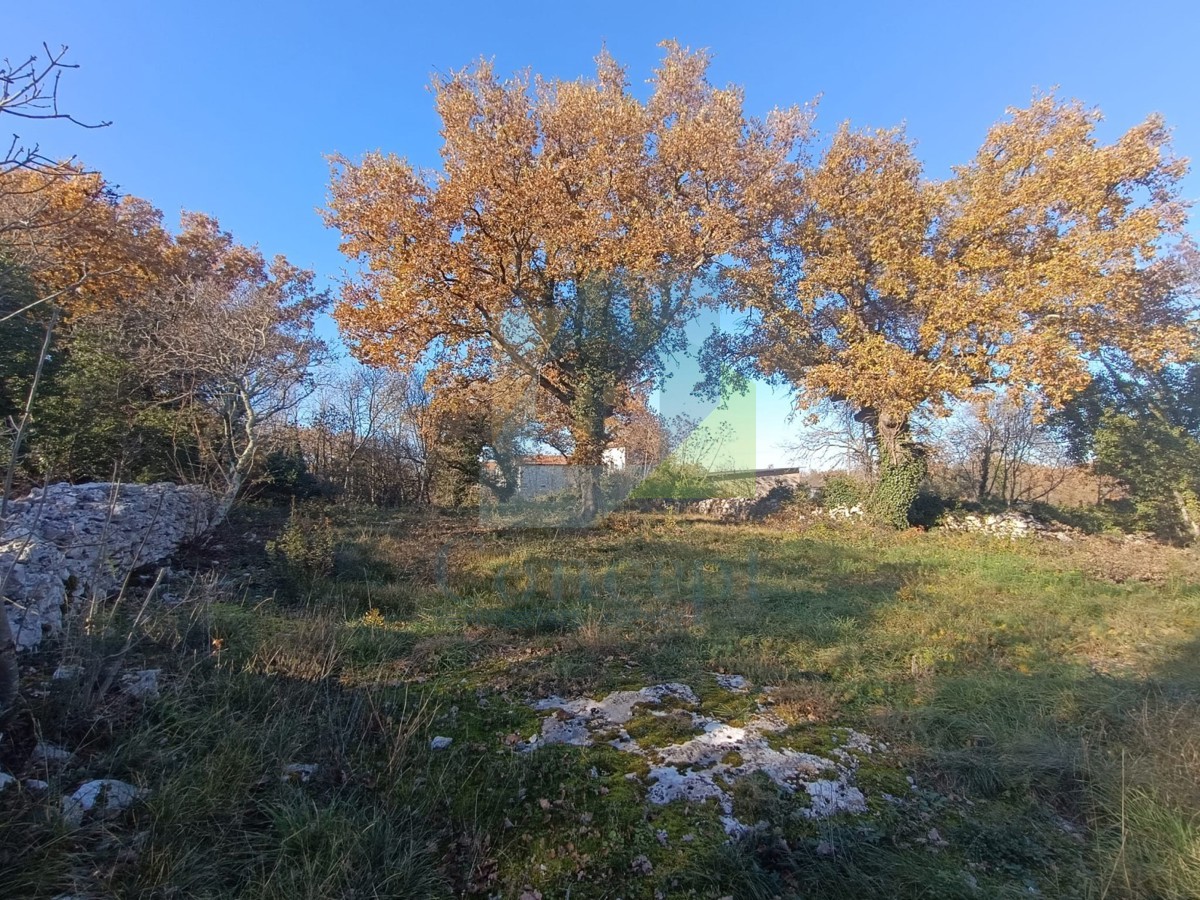 Pozemek Na prodej - ISTARSKA POREČ