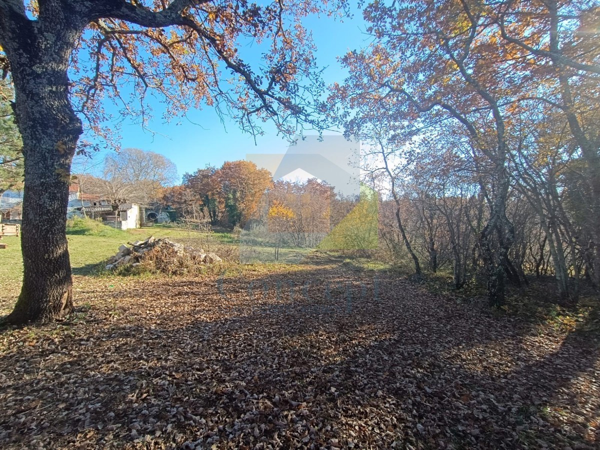 Land For sale - Istarska Poreč - foto 4/5