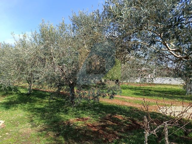 Grundstück Zu verkaufen - Istarska Poreč - foto 3/3