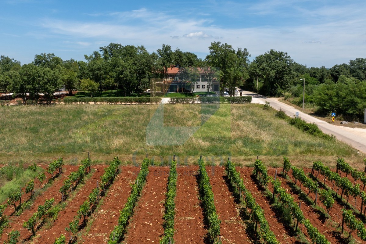 Komerční Na prodej - ISTARSKA POREČ