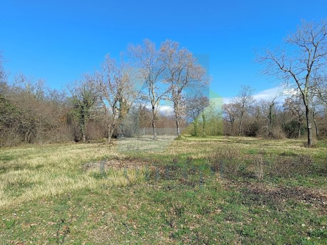 Grundstück zu verkaufen 7163 m² – Poreč