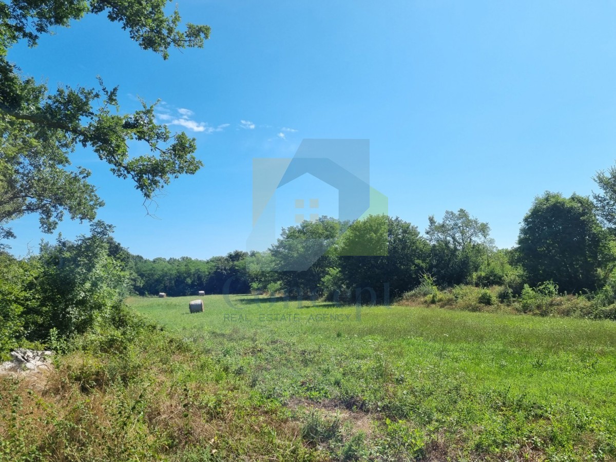 Land For sale - Istarska Poreč - foto 1/5