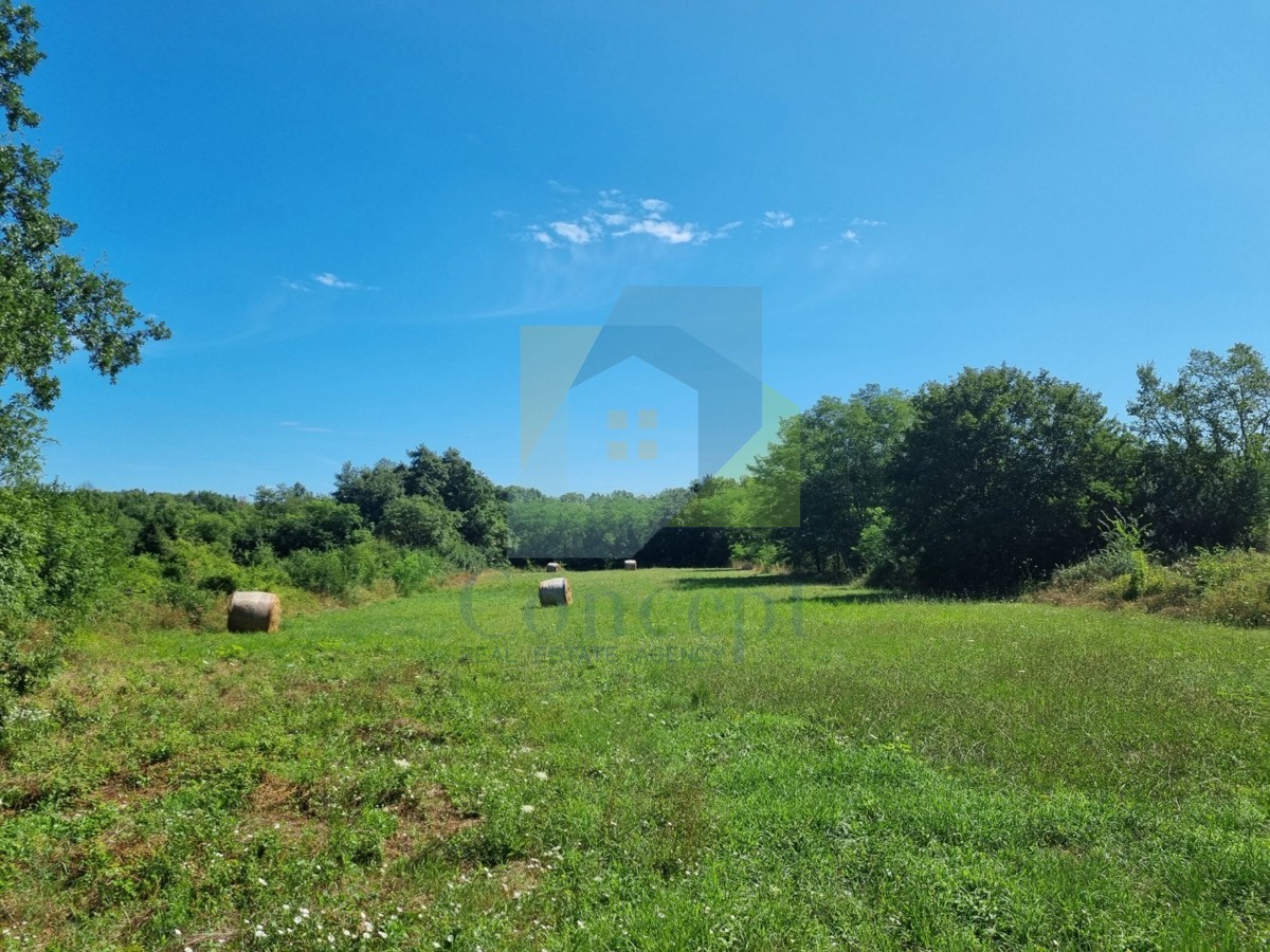 Land For sale - Istarska Poreč - foto 2/5