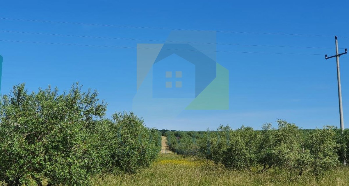 Terrain À vendre - Istarska Poreč - foto 1/2