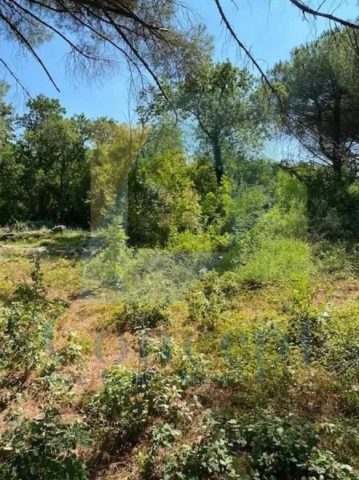 Land for sale 835 m² – Poreč
