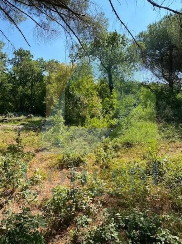 Land For sale - Istarska Poreč - foto 1/2