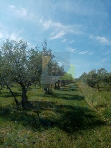 Terreno In vendita - Istarska Poreč - foto 2/6