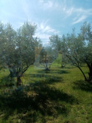 Terreno In vendita - Istarska Poreč - foto 3/6