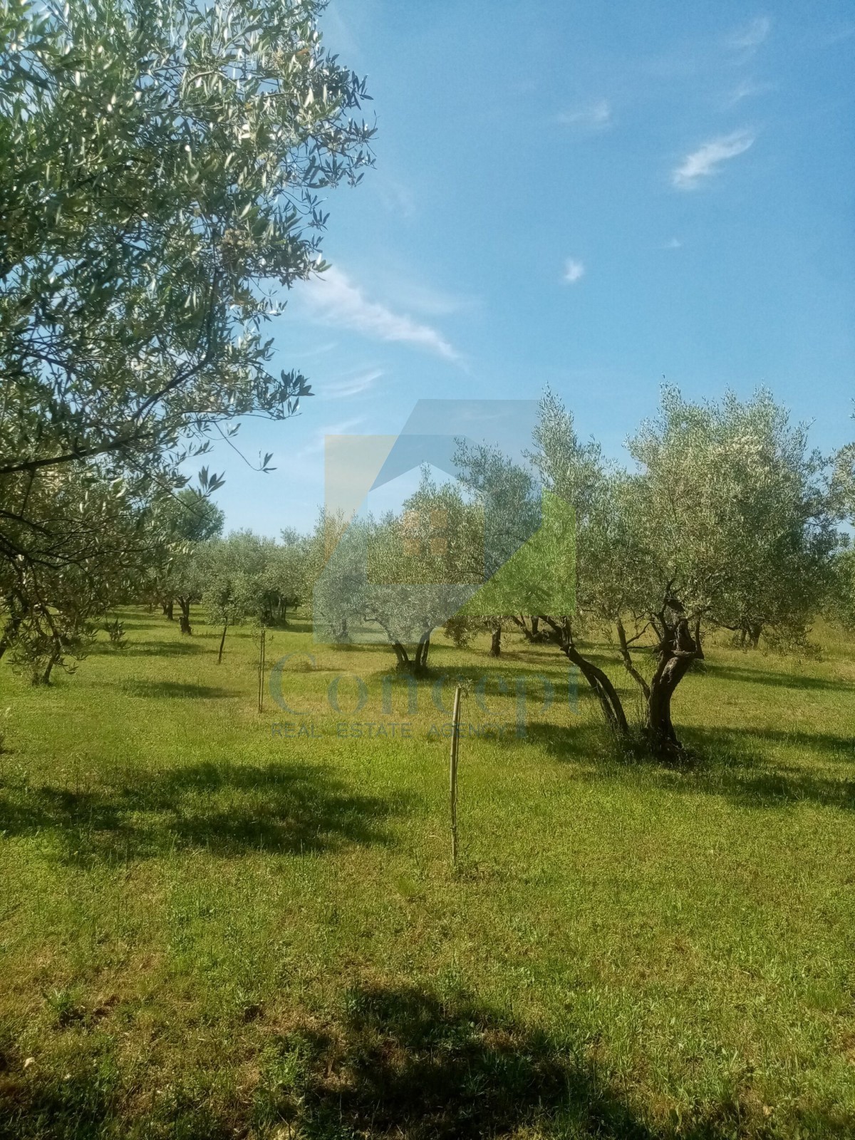 Pozemek Na prodej - Istarska Poreč - foto 1/6