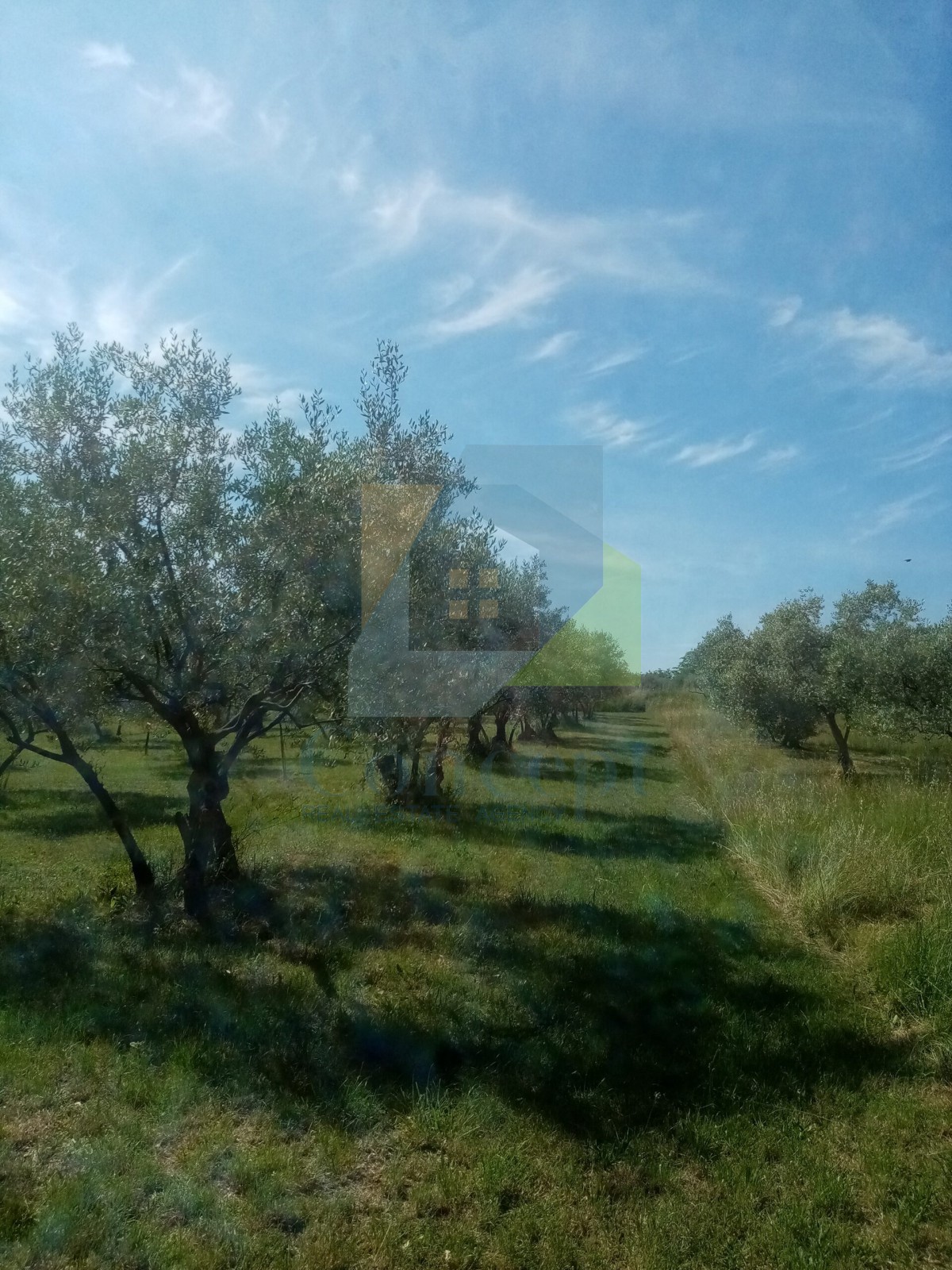 Pozemek Na prodej - Istarska Poreč - foto 2/6