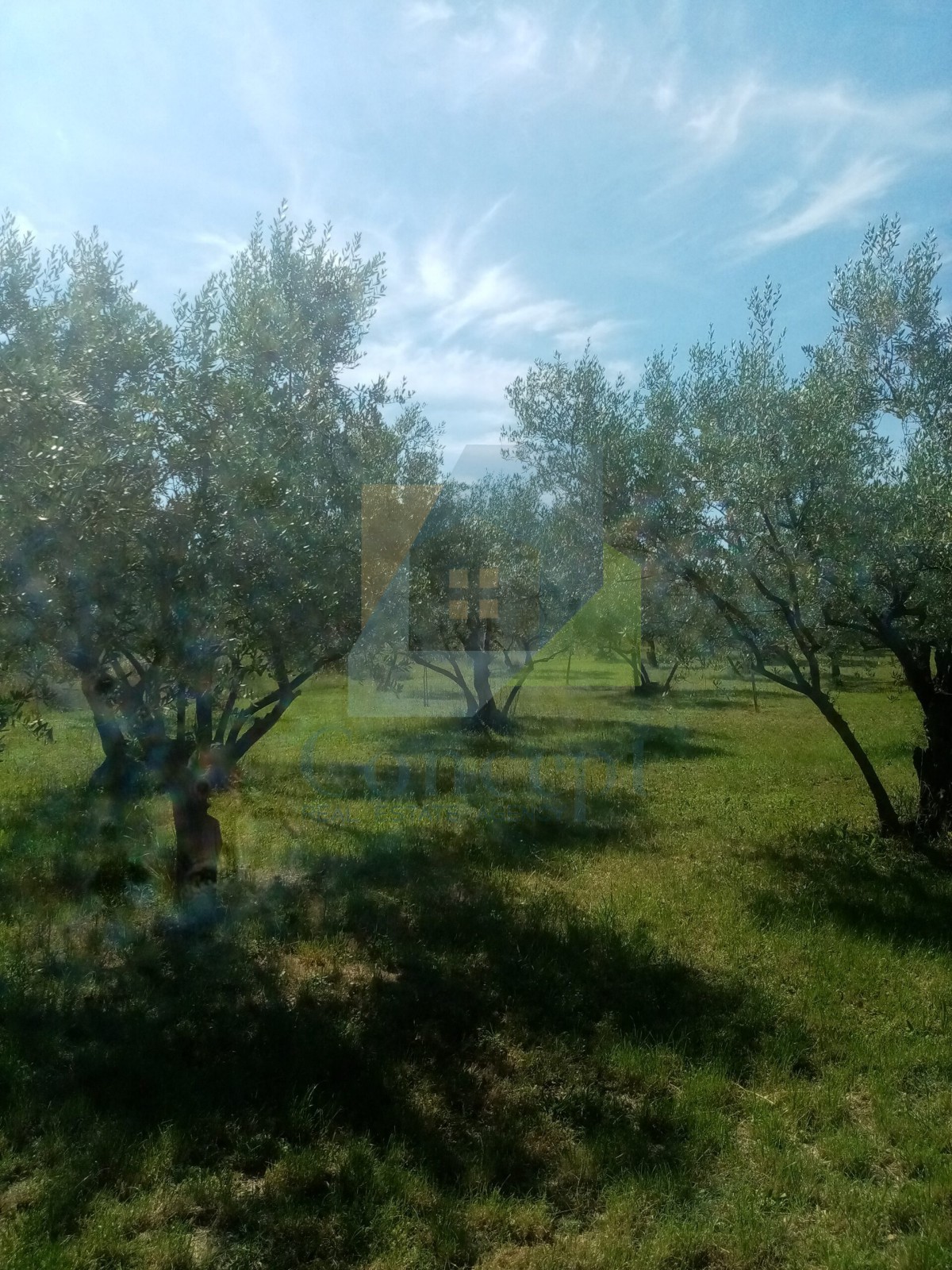 Pozemek Na prodej - Istarska Poreč - foto 3/6