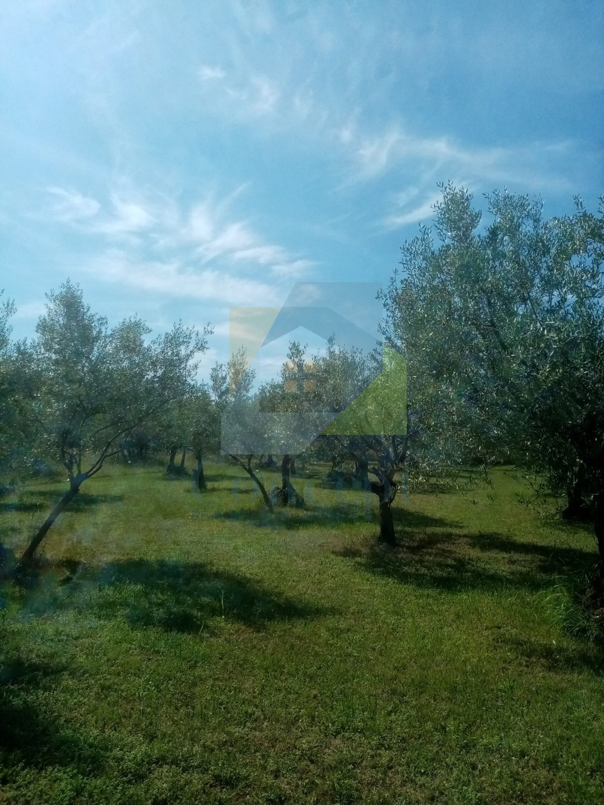 Pozemek Na prodej - Istarska Poreč - foto 4/6