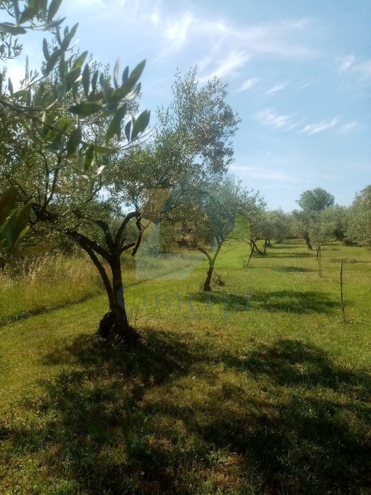 Pozemek Na prodej - ISTARSKA POREČ