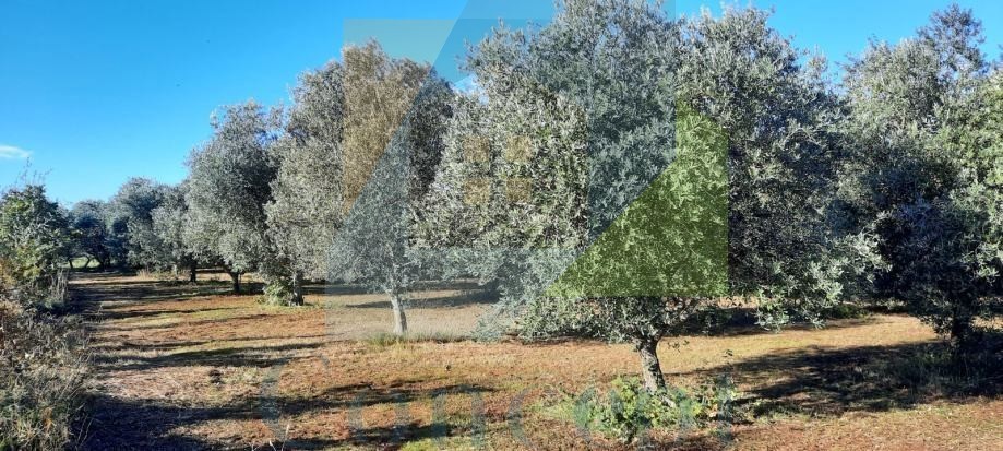 Zemljište Na prodaju - Istarska Poreč - foto 1/2
