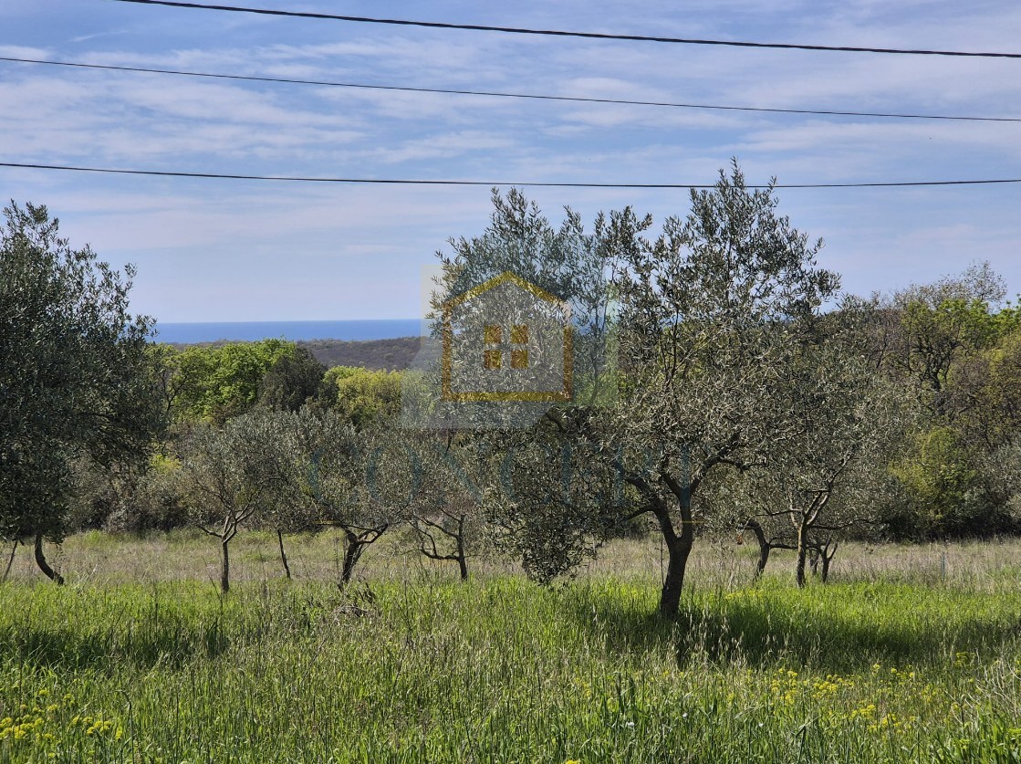 Pozemek Na prodej - Istarska Bale - foto 4/5