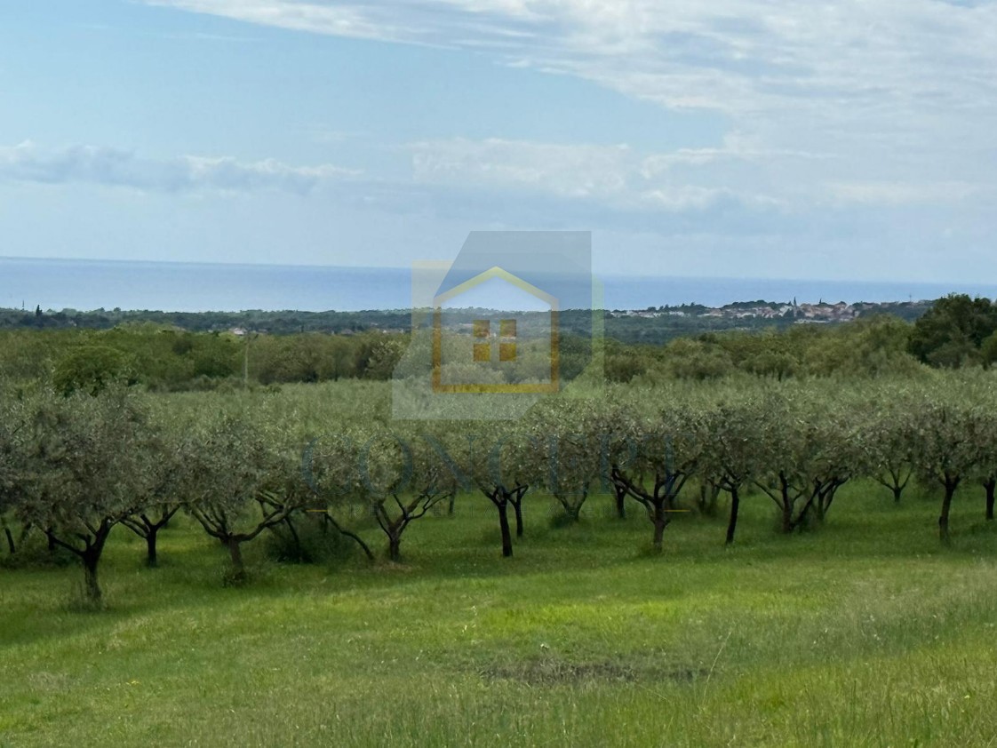 Działka Na sprzedaż - Istarska Poreč - foto 3/4
