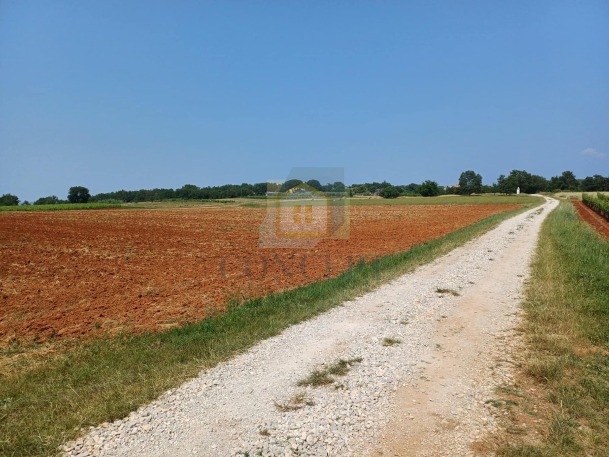 Terrain À vendre - Istarska Poreč - foto 1/5
