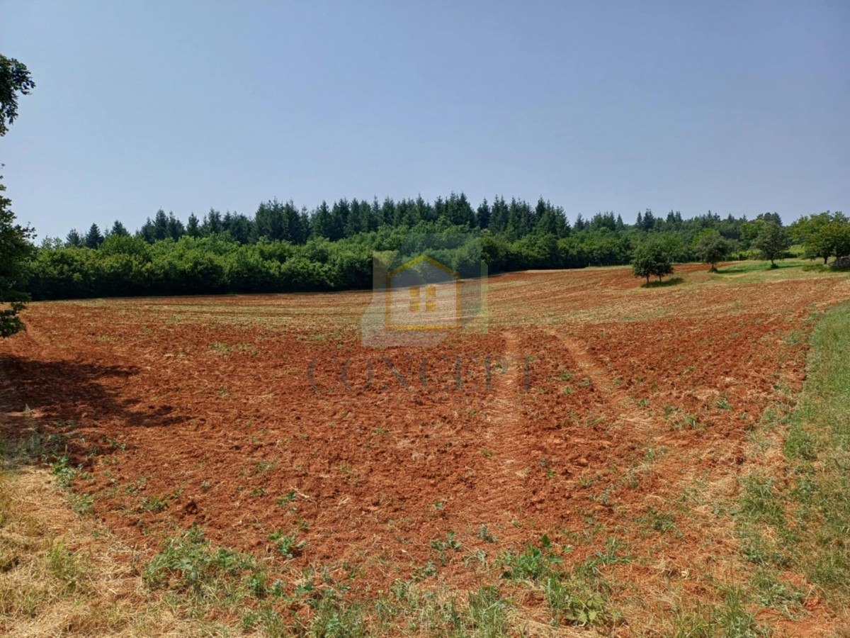 Terrain À vendre - Istarska Poreč - foto 2/5