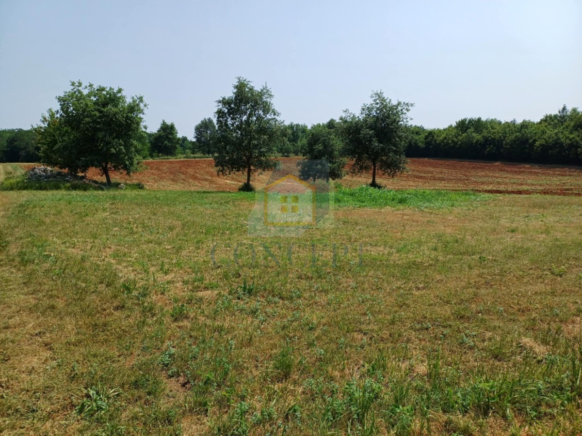 Terrain À vendre - Istarska Poreč - foto 4/5